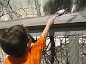 Alex_ZooTime (3)